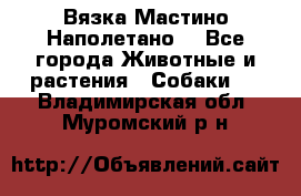 Вязка Мастино Наполетано  - Все города Животные и растения » Собаки   . Владимирская обл.,Муромский р-н